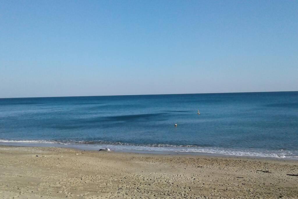 Larte Al Mare Vicino Spiaggia Con Ac E Wifi Apartman Savona Kültér fotó